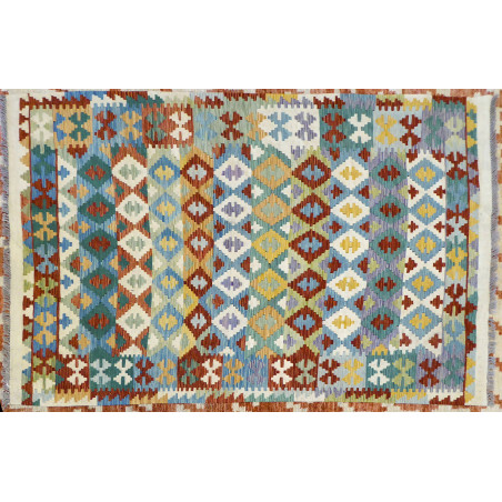 4.10 x 6.9 Multi-Colored Kelim