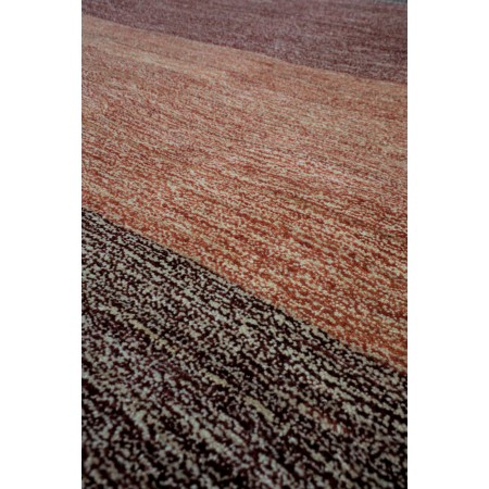 5.8 x 7.4 Zollanvari Shekarlou